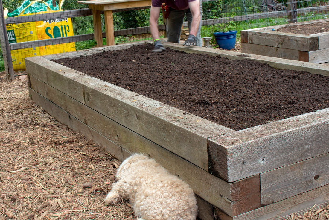 Add Compost To Start The Gardening Year   New Compost In Old Garden Beds 